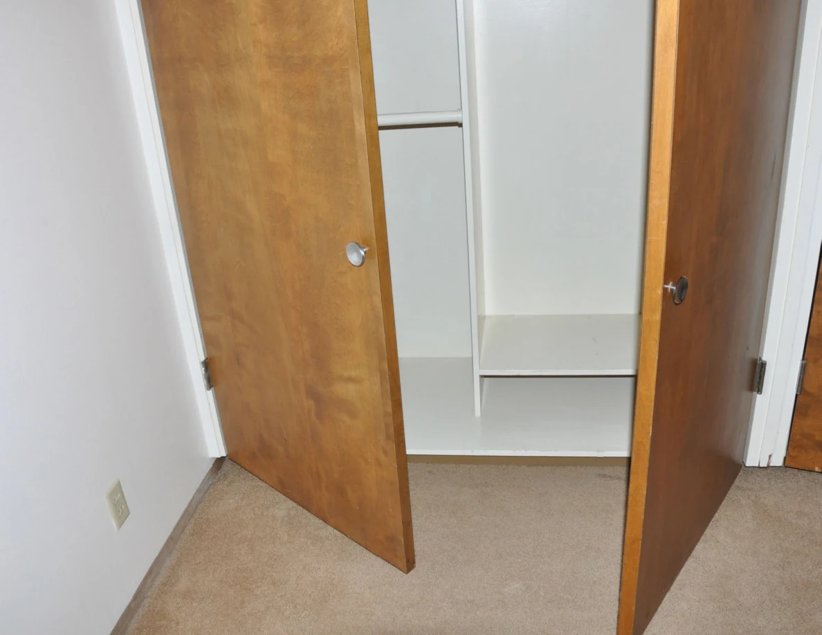 Lower open closet with empty white shelves above beige carpet.