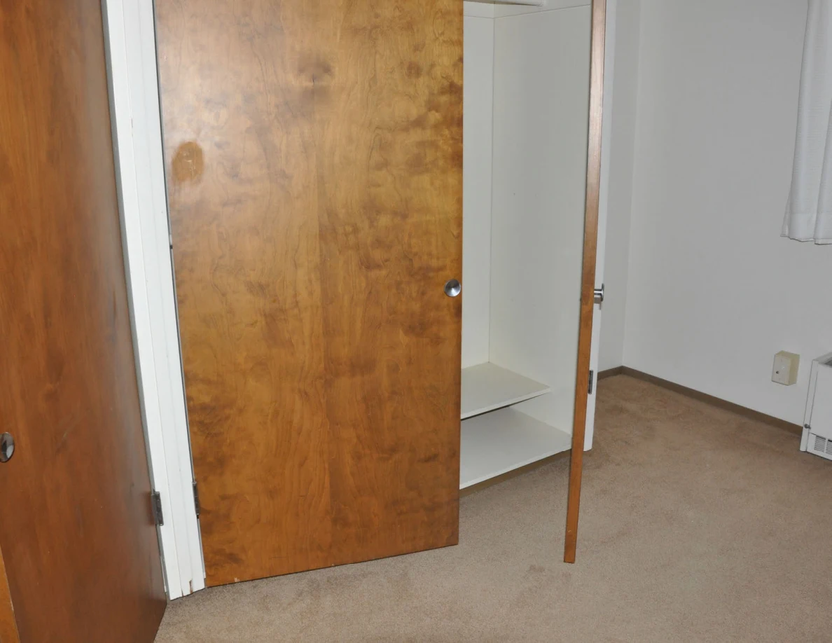 Open empty closet beside a carpeted corner and wall heater.