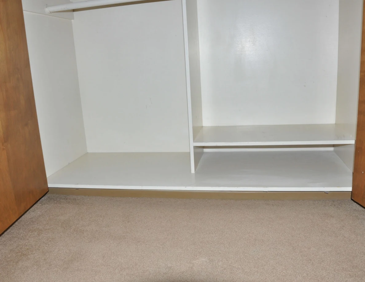 Empty closet base and low white shelves above beige carpet.