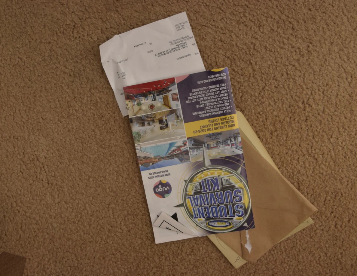 Printed mailer, white envelope and brown envelope on carpet.