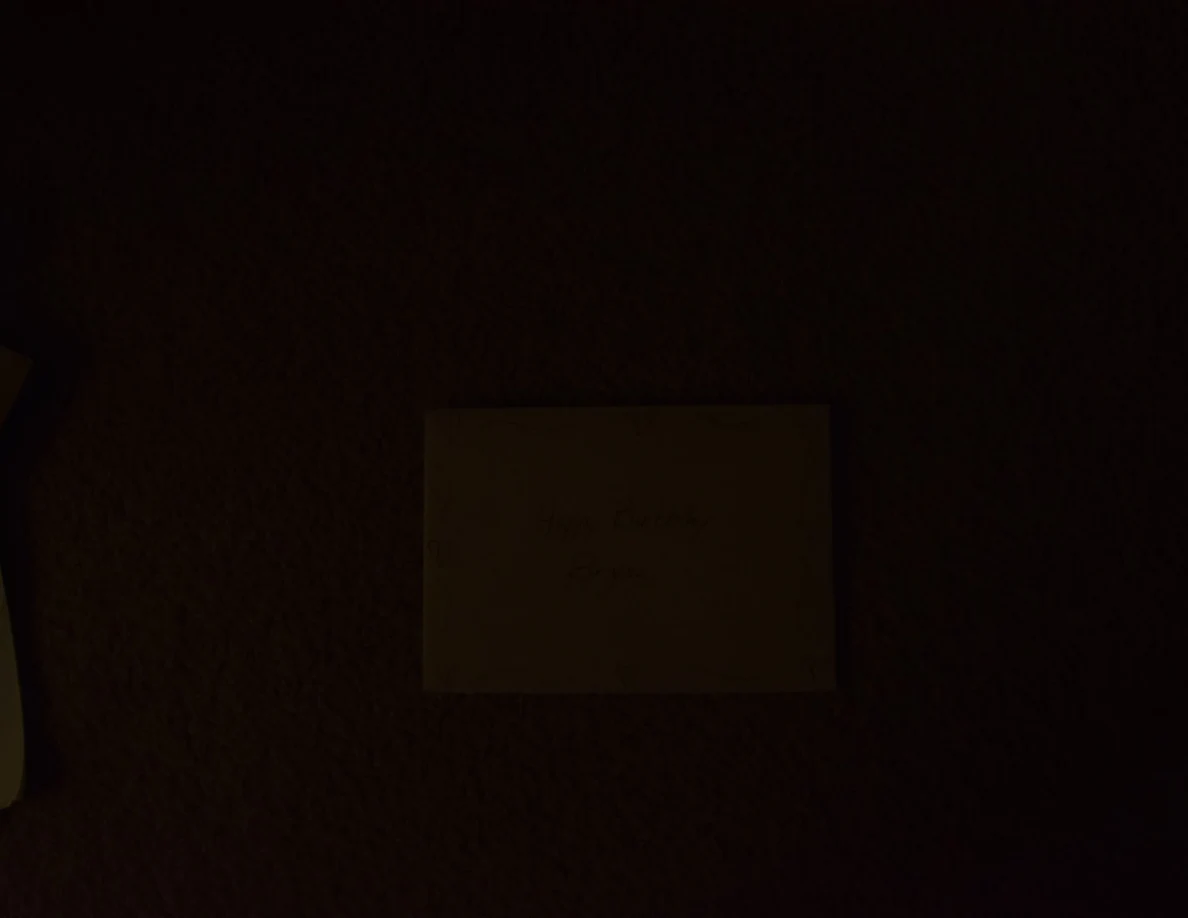 Very dark photograph of a small greeting card on carpet.