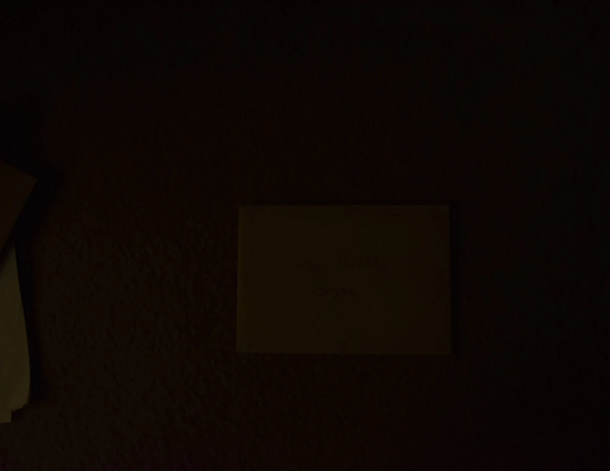 Very dark view of a rectangular greeting card lying on carpet.
