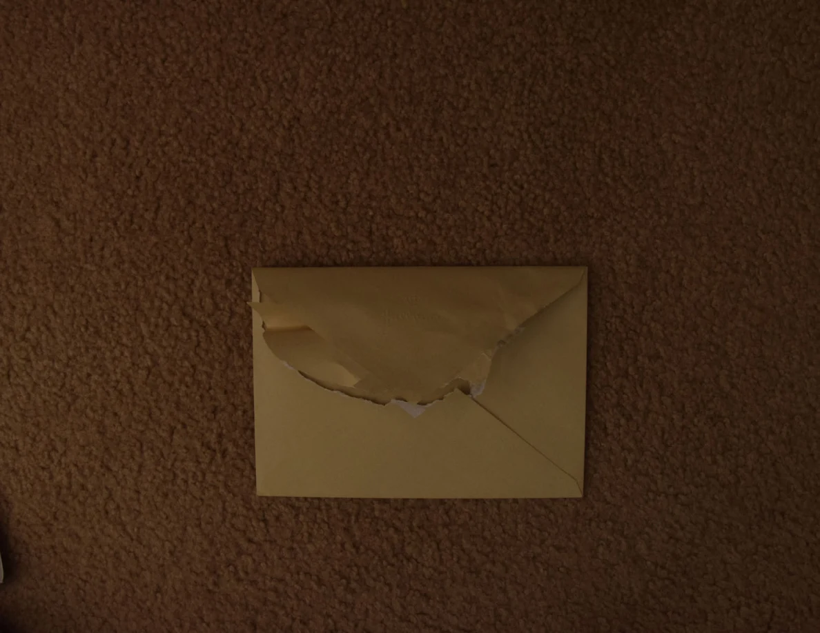 Back of a yellow envelope with a torn flap.