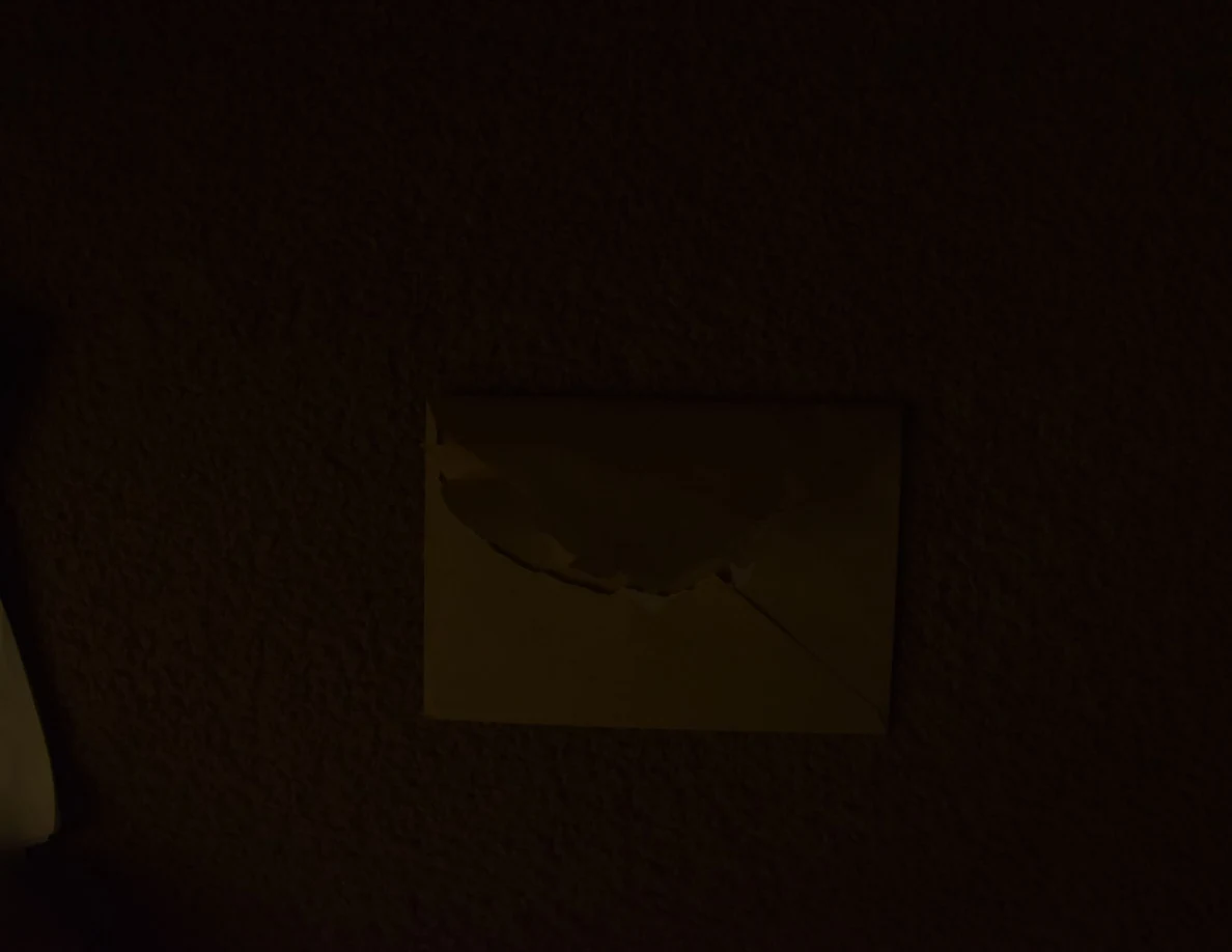 Dim photograph of a yellow envelope with a torn flap on carpet.