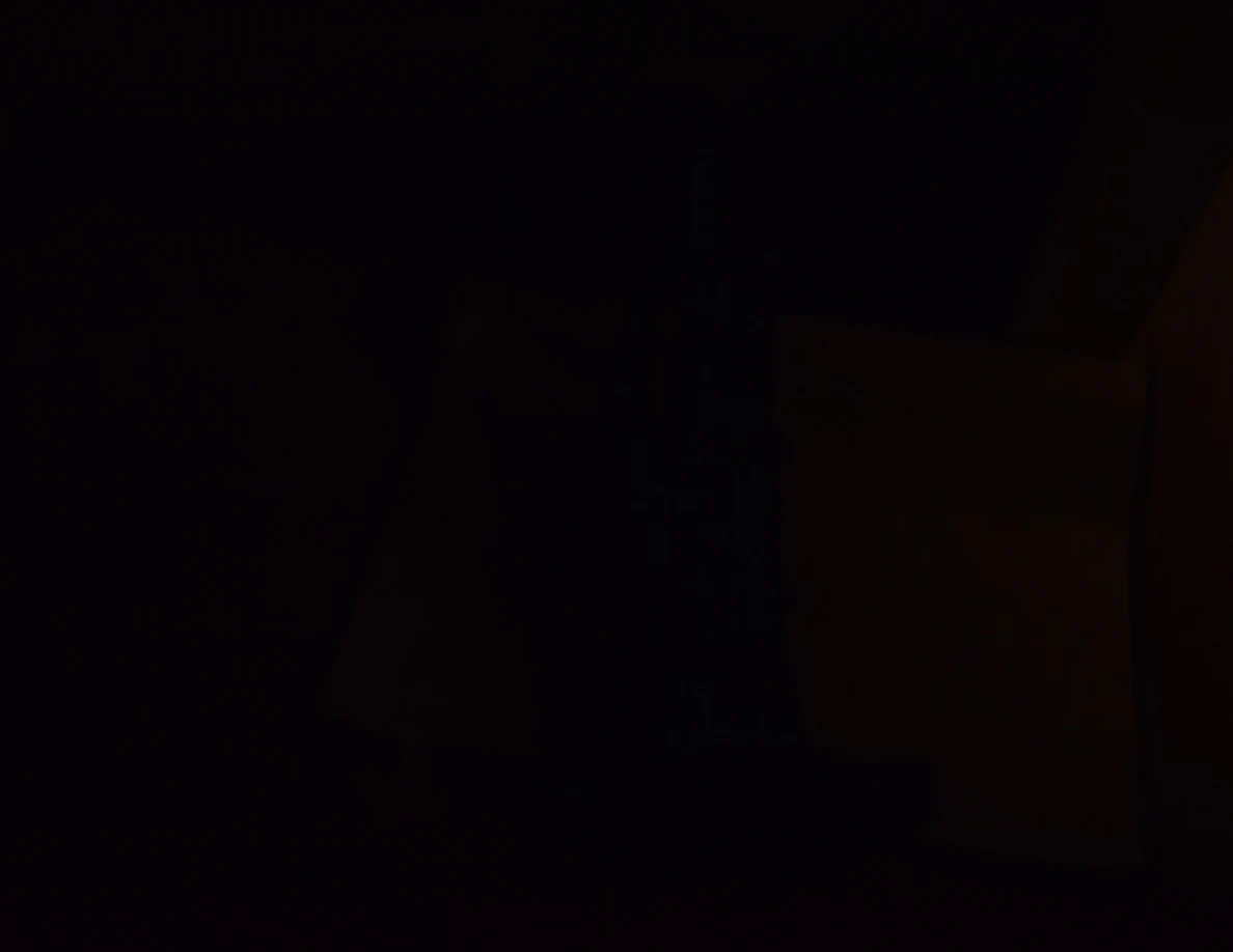 Extremely dark photograph with only faint outlines; objects are not clearly discernible.