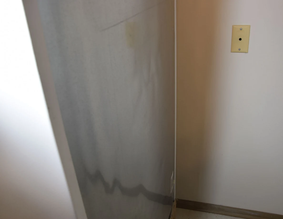 Metal refrigerator back and adjacent wall plate.