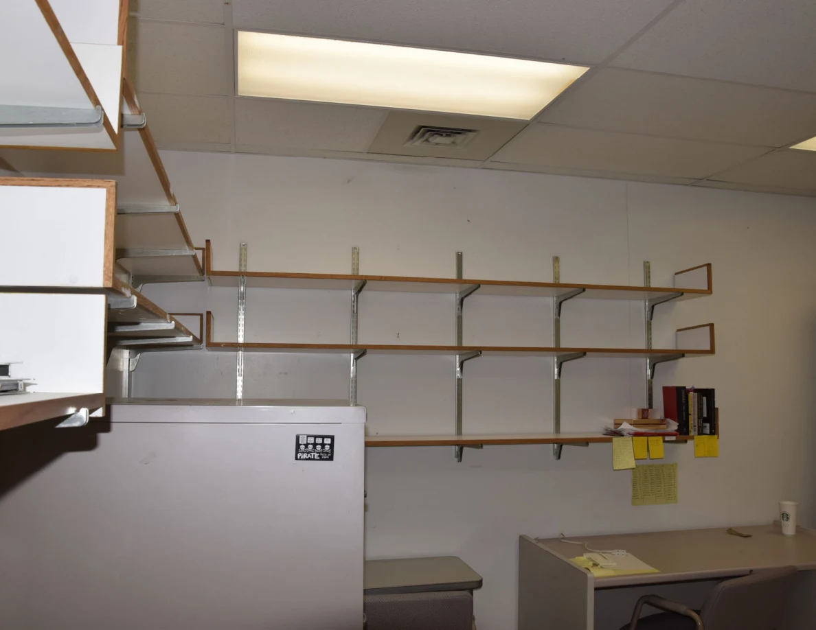 Upper office shelves and ceiling light viewed past a filing cabinet.