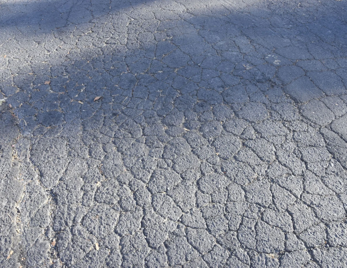 Cracked asphalt with scattered leaves and irregular darker bands.