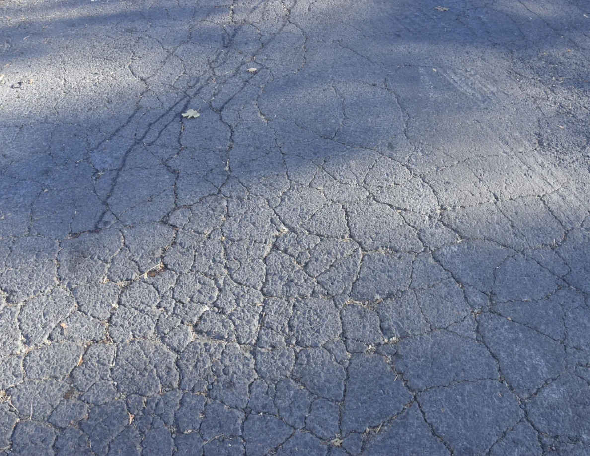 Road surface with branching cracks, leaves and shadows.