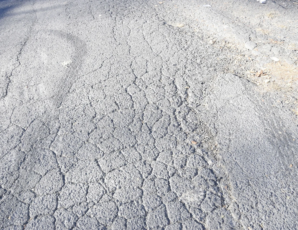 Cracked asphalt with a curved darker band and scattered dry leaves.