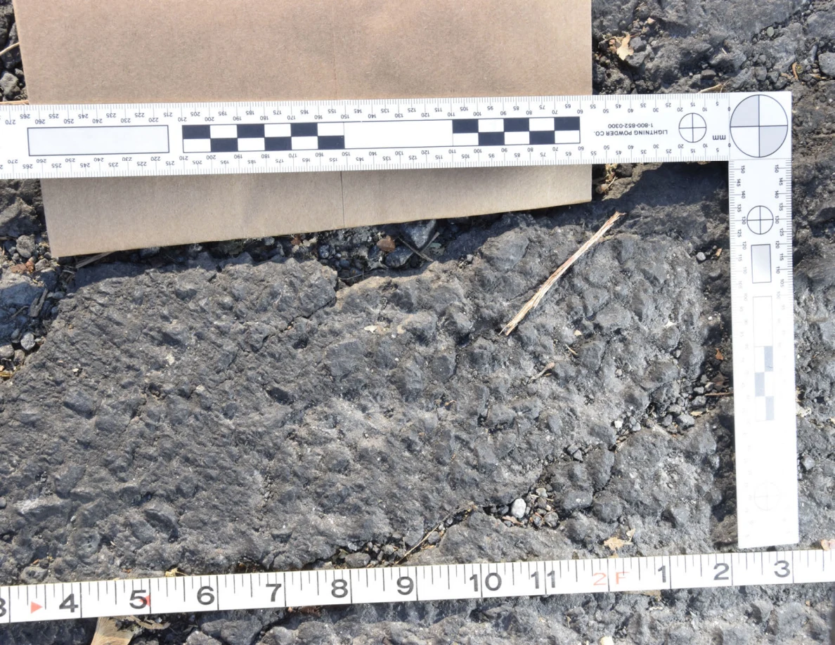 Rough asphalt surface beside a thin twig and photographic scale.
