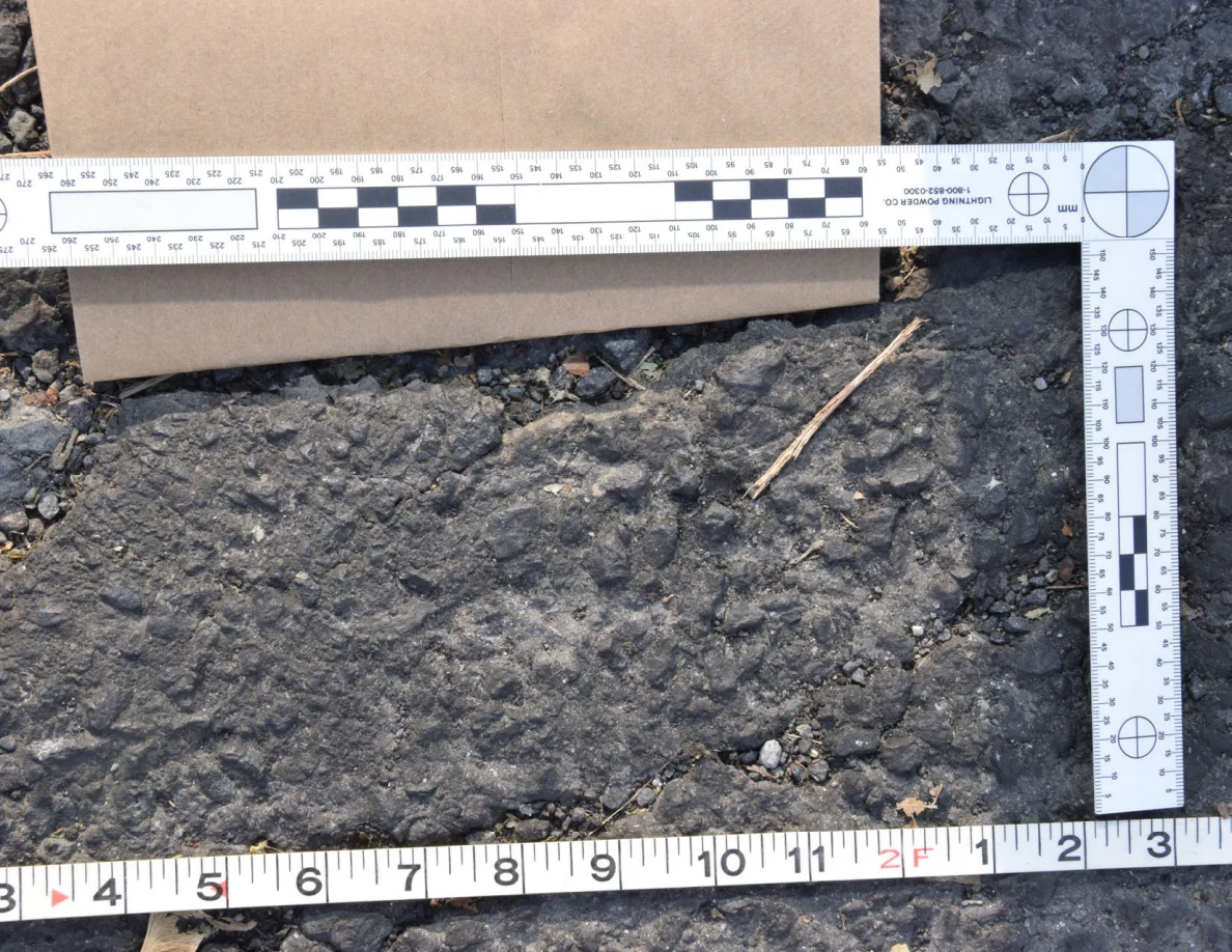 Close view of a rough asphalt patch with a twig and small stones, framed by photographic scale and tape measure.