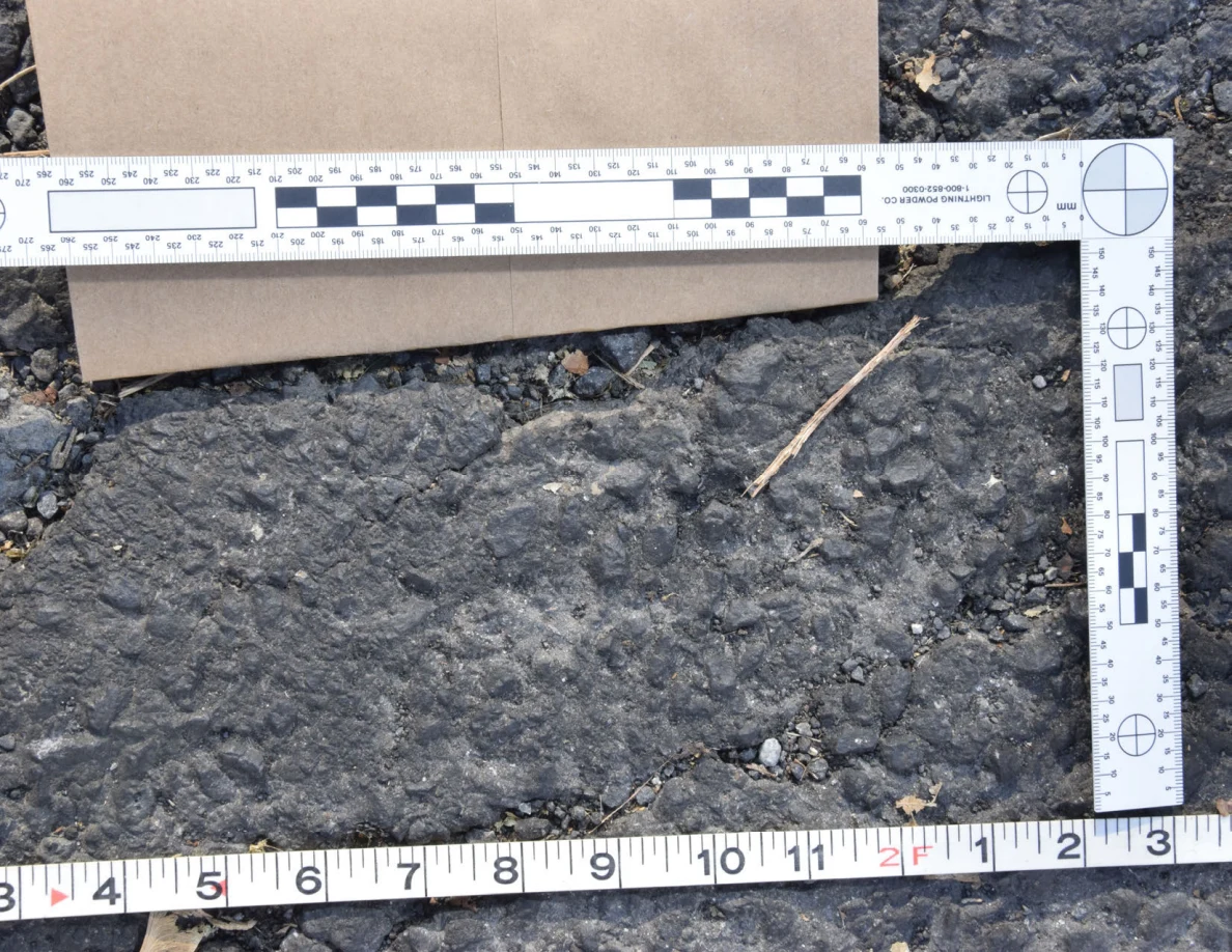 Close view of a rough asphalt patch with a twig and small stones, framed by photographic scale and tape measure.