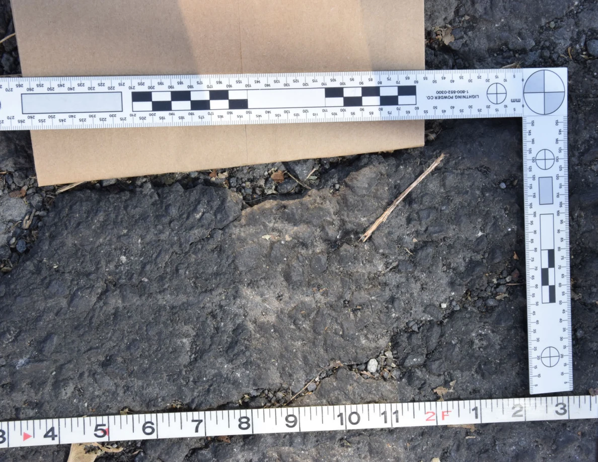 Close view of a rough asphalt patch with a twig and small stones, framed by photographic scale and tape measure.