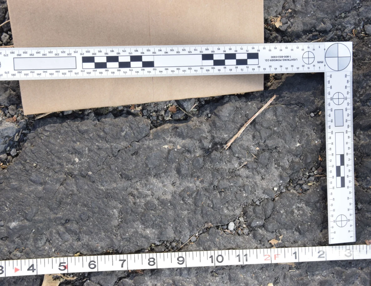 Close view of a rough asphalt patch with a twig and small stones, framed by photographic scale and tape measure.