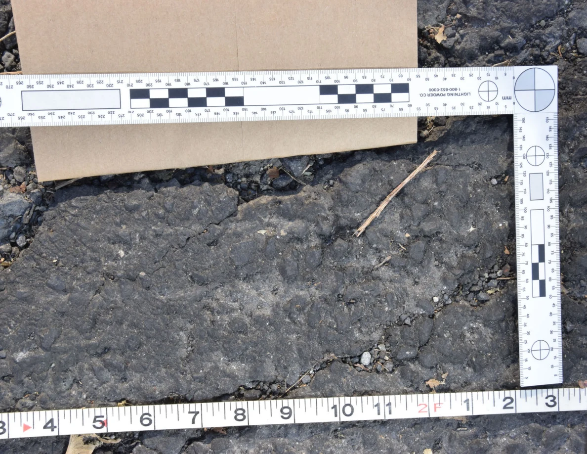 Close view of a rough asphalt patch with a twig and small stones, framed by photographic scale and tape measure.