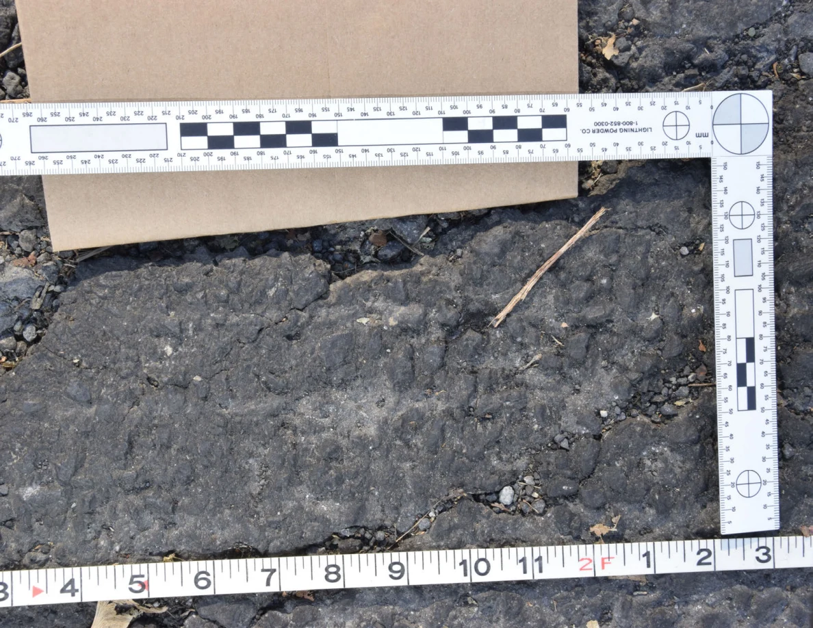 Close view of a rough asphalt patch with a twig and small stones, framed by photographic scale and tape measure.