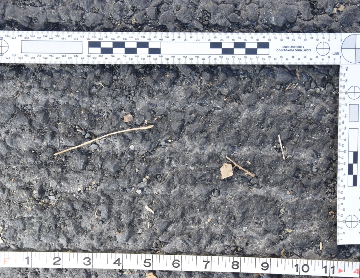 Rough asphalt with a twig and dry leaf fragments, framed by an L-shaped scale and measuring tape.