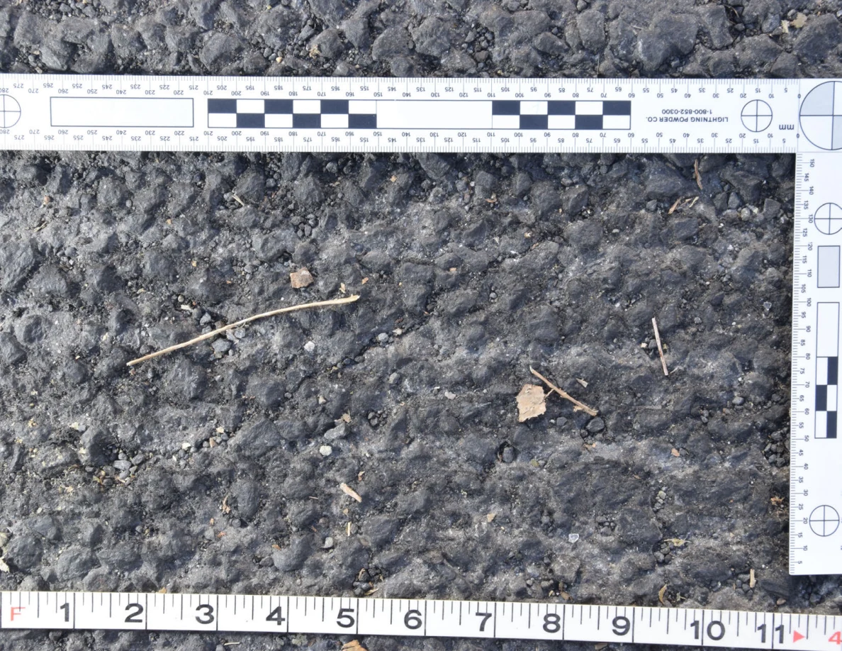 Rough asphalt with a twig and dry leaf fragments, framed by an L-shaped scale and measuring tape.