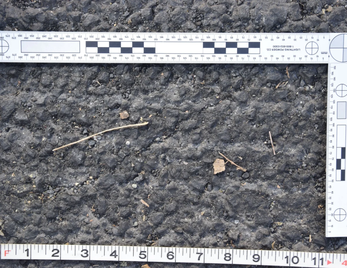 Rough asphalt with a twig and dry leaf fragments, framed by an L-shaped scale and measuring tape.