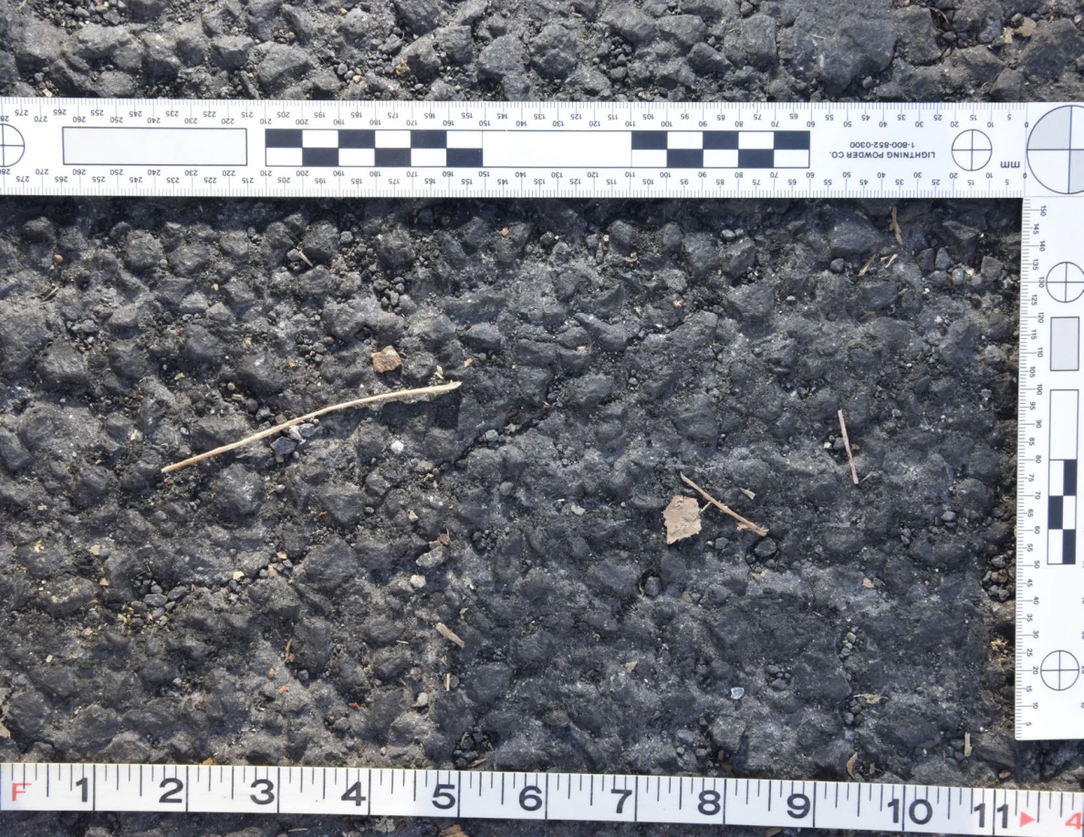 Rough asphalt with a twig and dry leaf fragments, framed by an L-shaped scale and measuring tape.