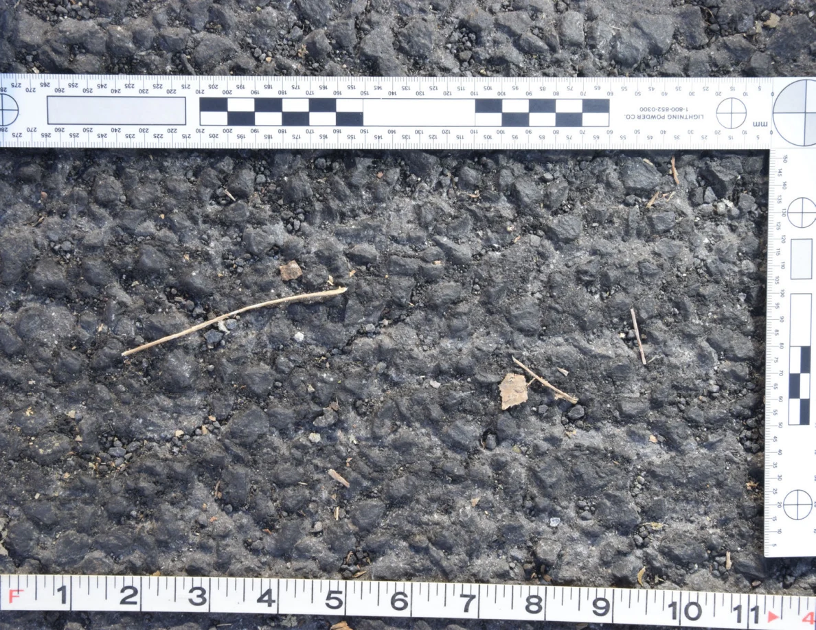 Rough asphalt with a twig and dry leaf fragments, framed by an L-shaped scale and measuring tape.