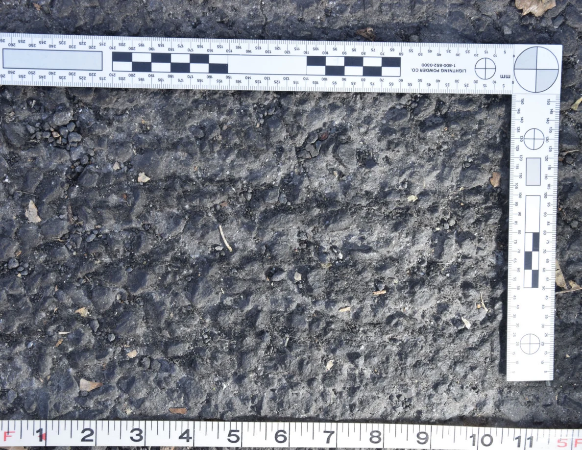 Close view of uneven asphalt with small stones and plant fragments, framed by an L-shaped scale and measuring tape.