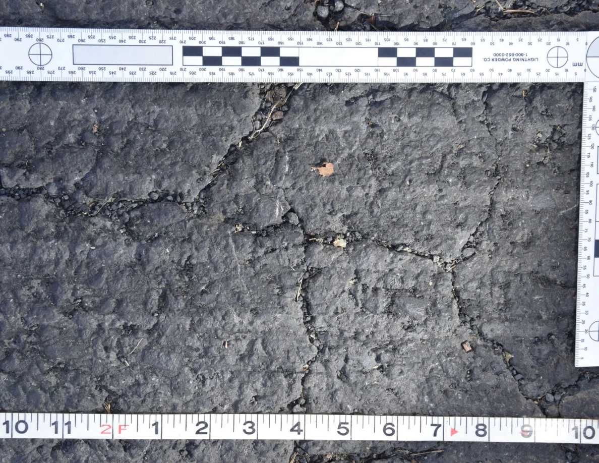 Cracked asphalt with a small brown leaf and grit in the fissures, framed by an L-shaped scale and measuring tape.
