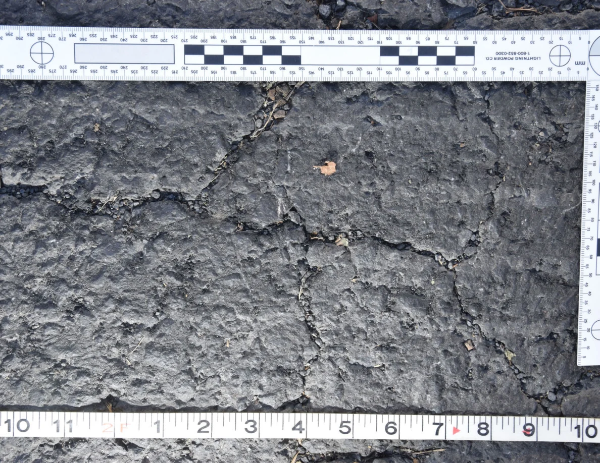 Cracked asphalt with a small brown leaf and grit in the fissures, framed by an L-shaped scale and measuring tape.