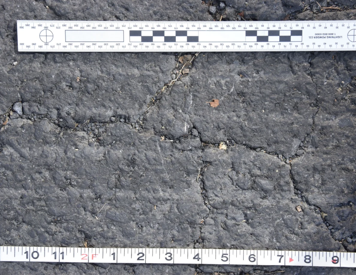 Cracked asphalt with a small brown leaf and grit in the fissures, framed by an L-shaped scale and measuring tape.