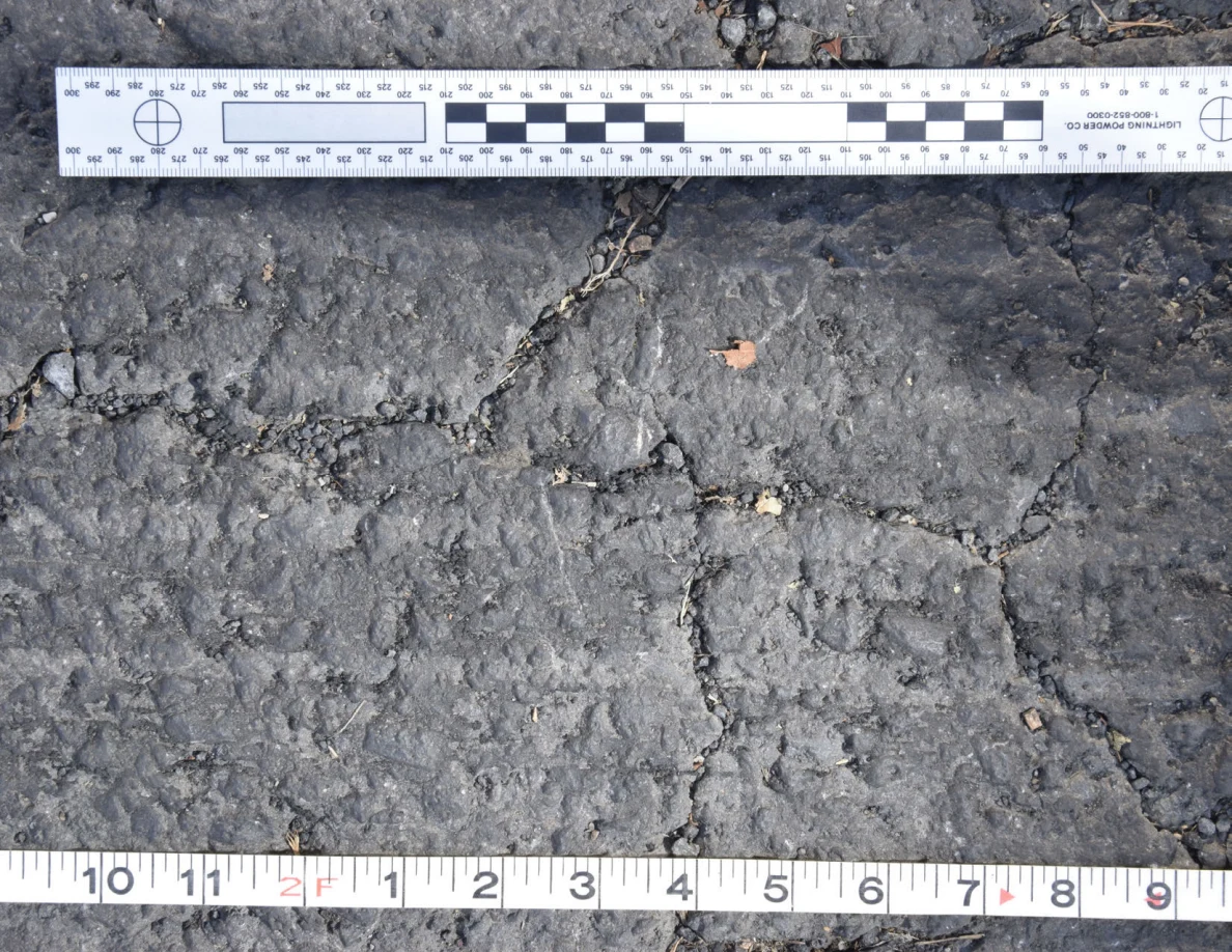 Cracked asphalt with a small brown leaf and grit in the fissures, framed by an L-shaped scale and measuring tape.
