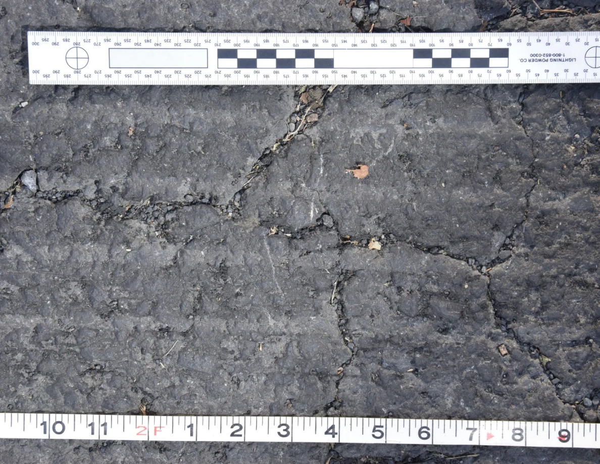 Cracked asphalt with a small brown leaf and grit in the fissures, framed by an L-shaped scale and measuring tape.