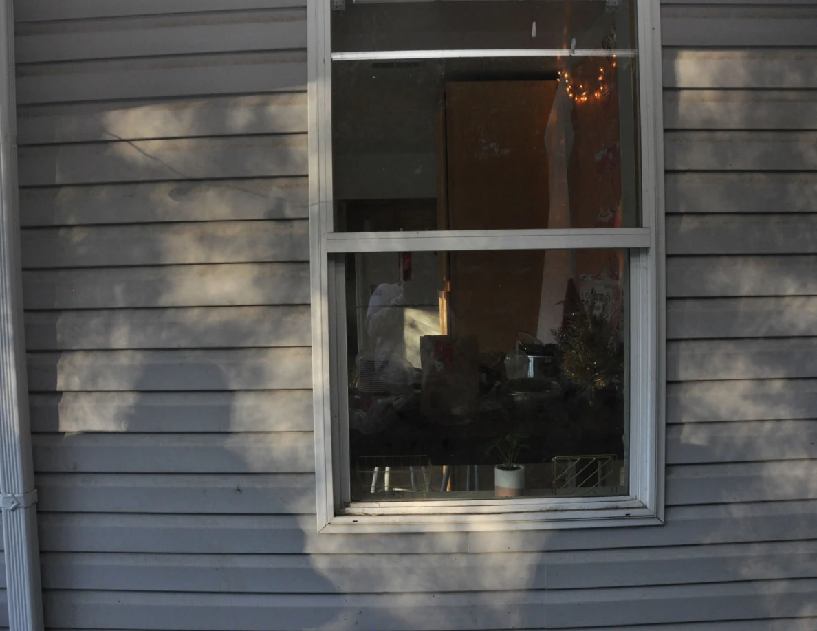 Exterior window in gray siding, with a potted plant visible on the interior sill.