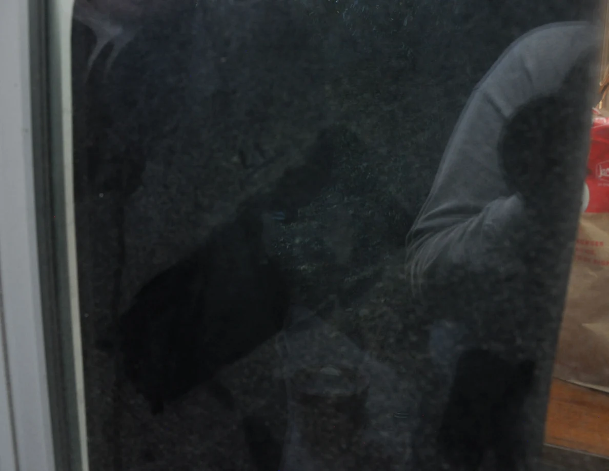 Window glass with a camera-holder reflection and a narrow view of an interior table.