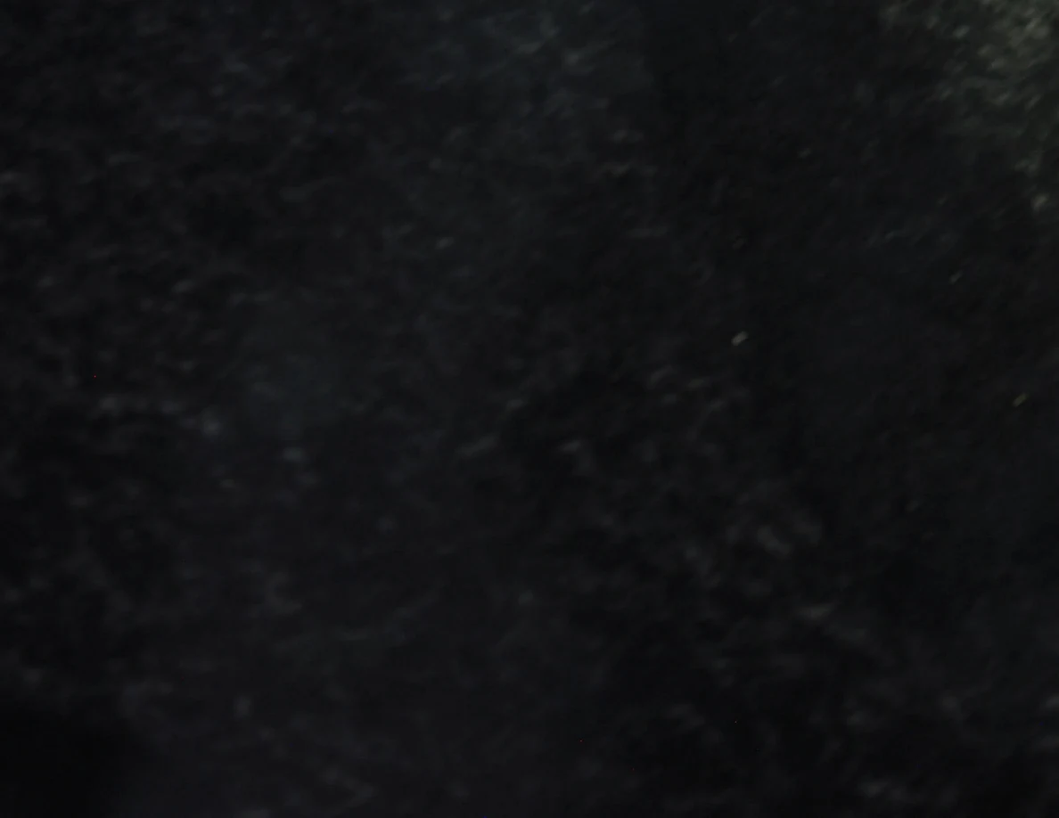 Very dark, soft-focus close-up of a mottled surface; fine details are indistinct.