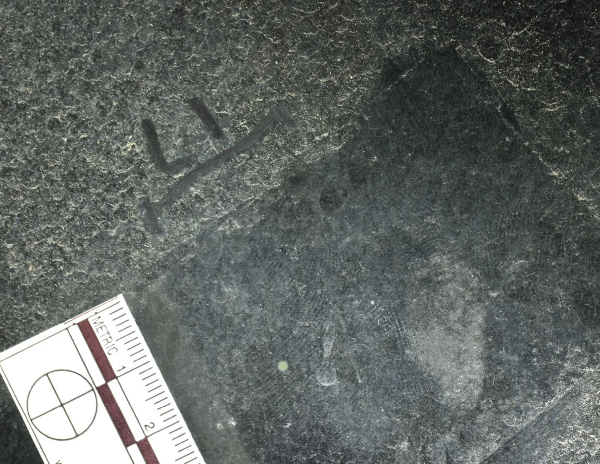 Illuminated close-up of glass with an arrow-shaped marker, a small pale dot and a metric scale.