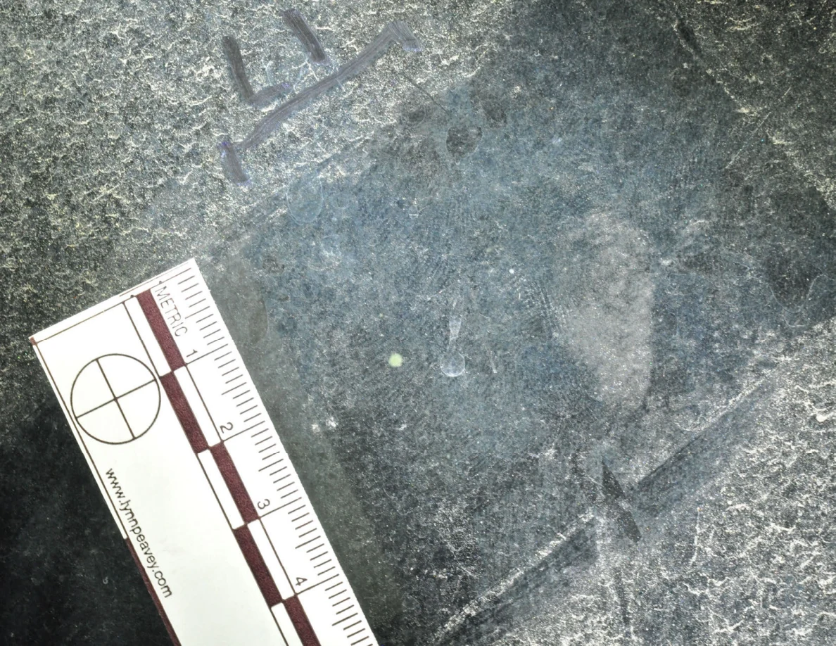 Illuminated glass with an arrow-shaped marker, a pale dot and a metric scale.