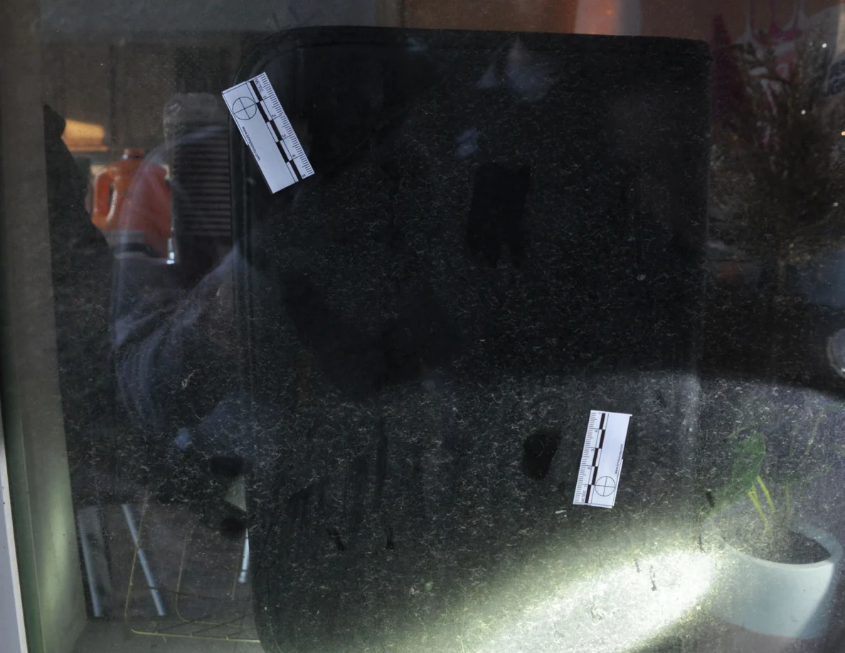 Window glass with two small photographic scales, reflections and a potted plant visible at the sill.