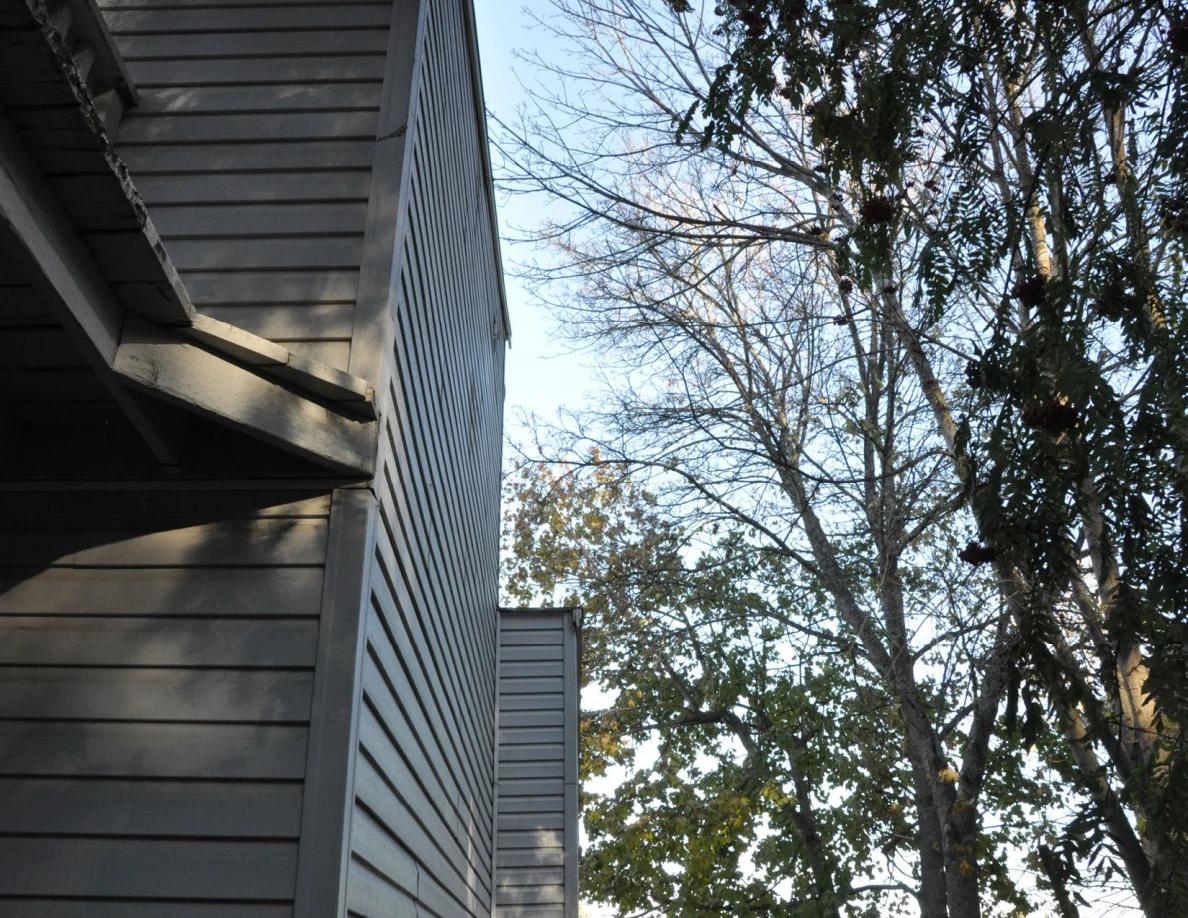 Upward view of house siding and roof overhang beside trees.