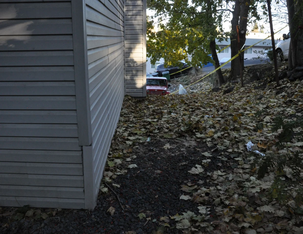 Leaf-covered path along a gray-sided house with trees and yellow tape on the slope.