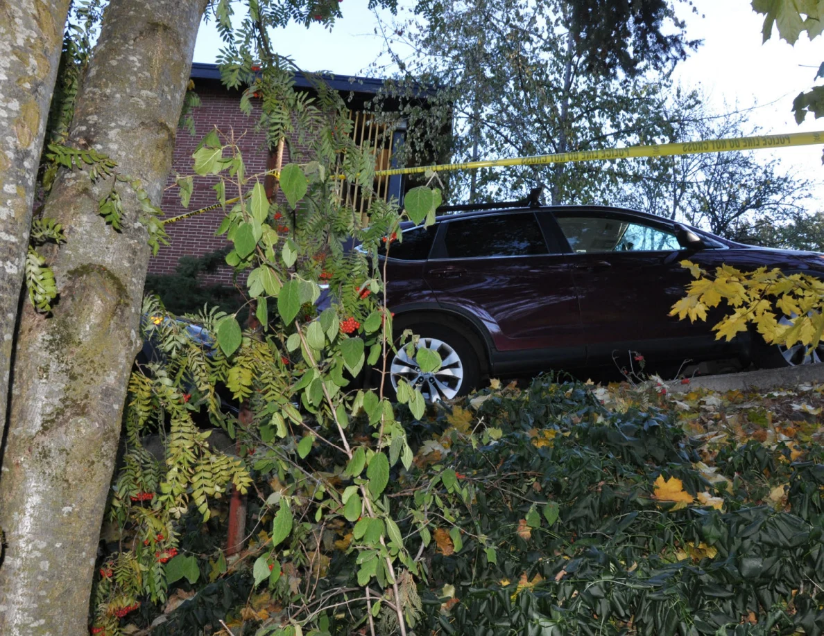 Tree trunks and branches in front of a dark SUV and yellow tape.