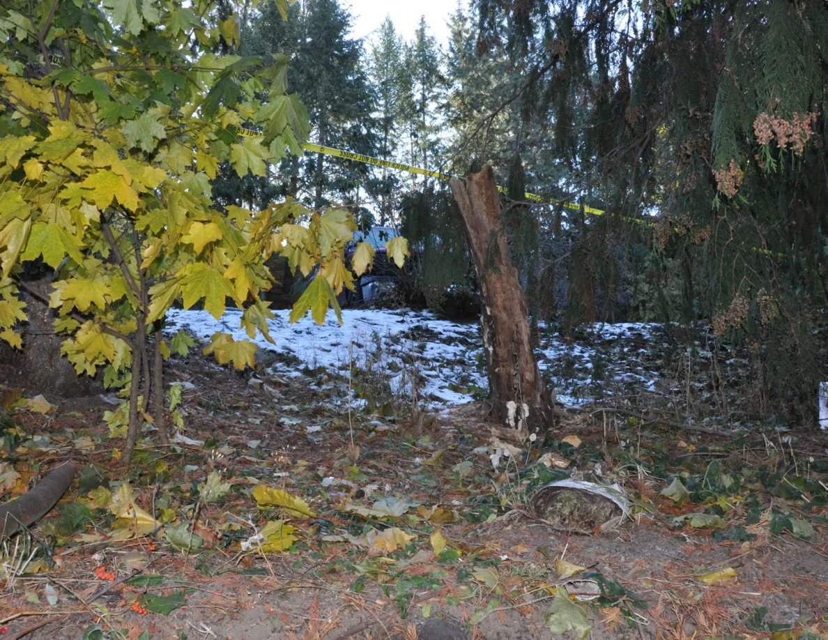 Wooded slope with a broken tree trunk, scattered leaves, snow and yellow tape.