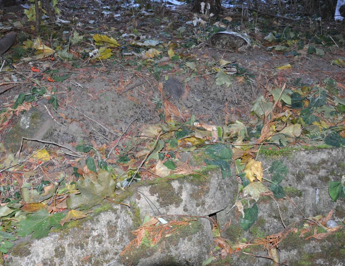 Soil, fallen leaves and cut vegetation above a block retaining wall.