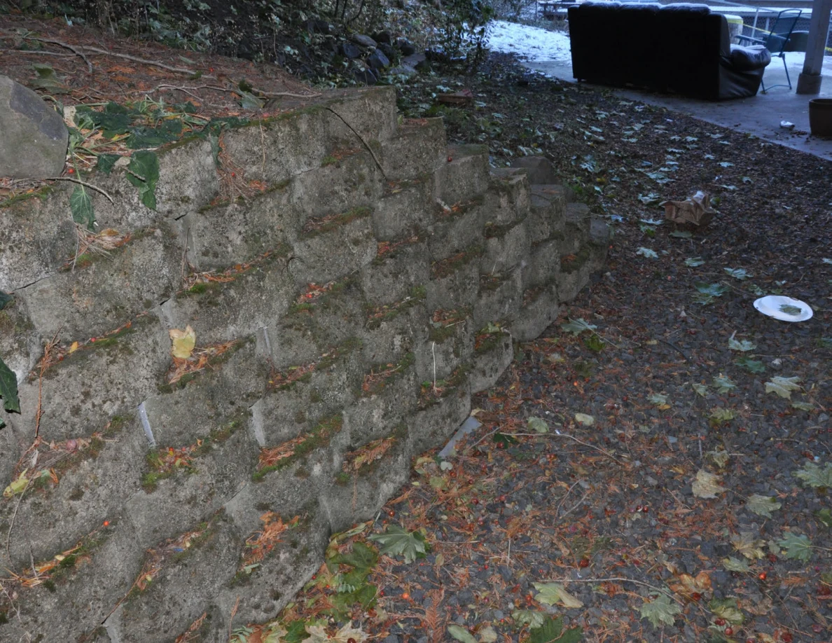 Close view of a block retaining wall and leaf-strewn ground, with a white plate nearby.