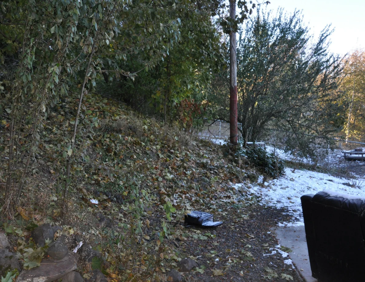 Leafy slope beside a snowy patio, with a dark bag on the ground and sofa at right.