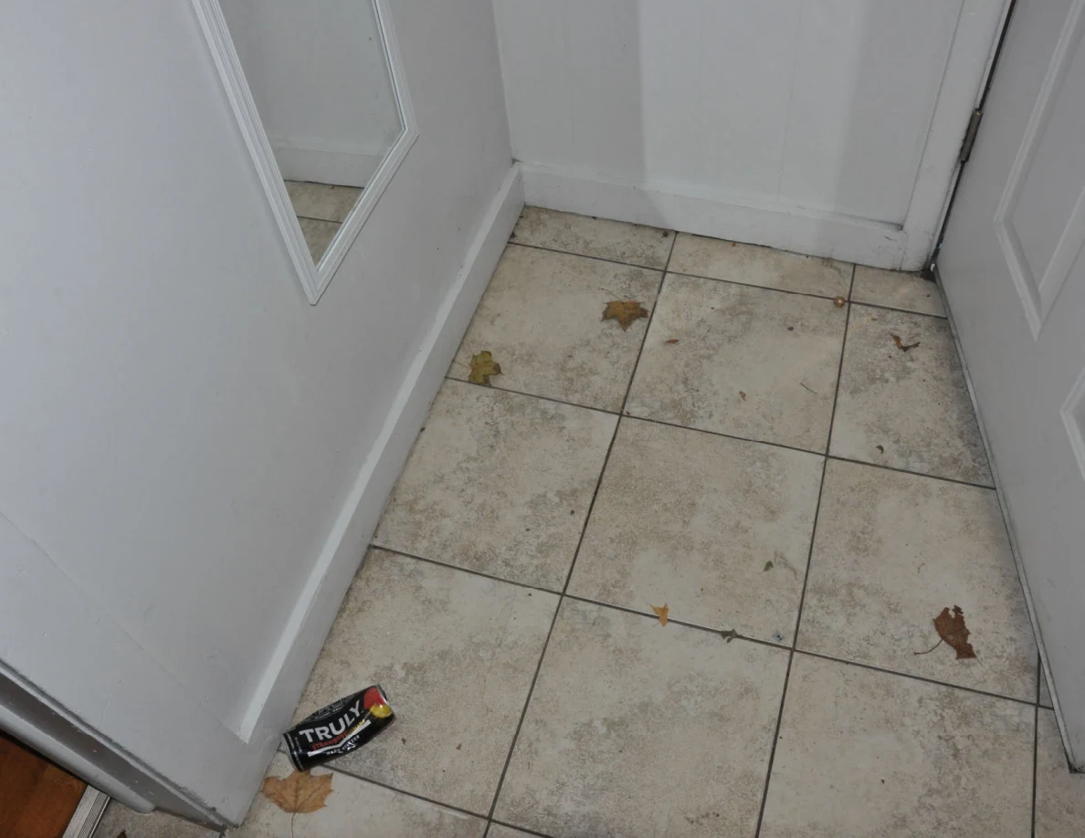 Tiled entryway floor with scattered leaves and a Truly carton below a wall mirror.