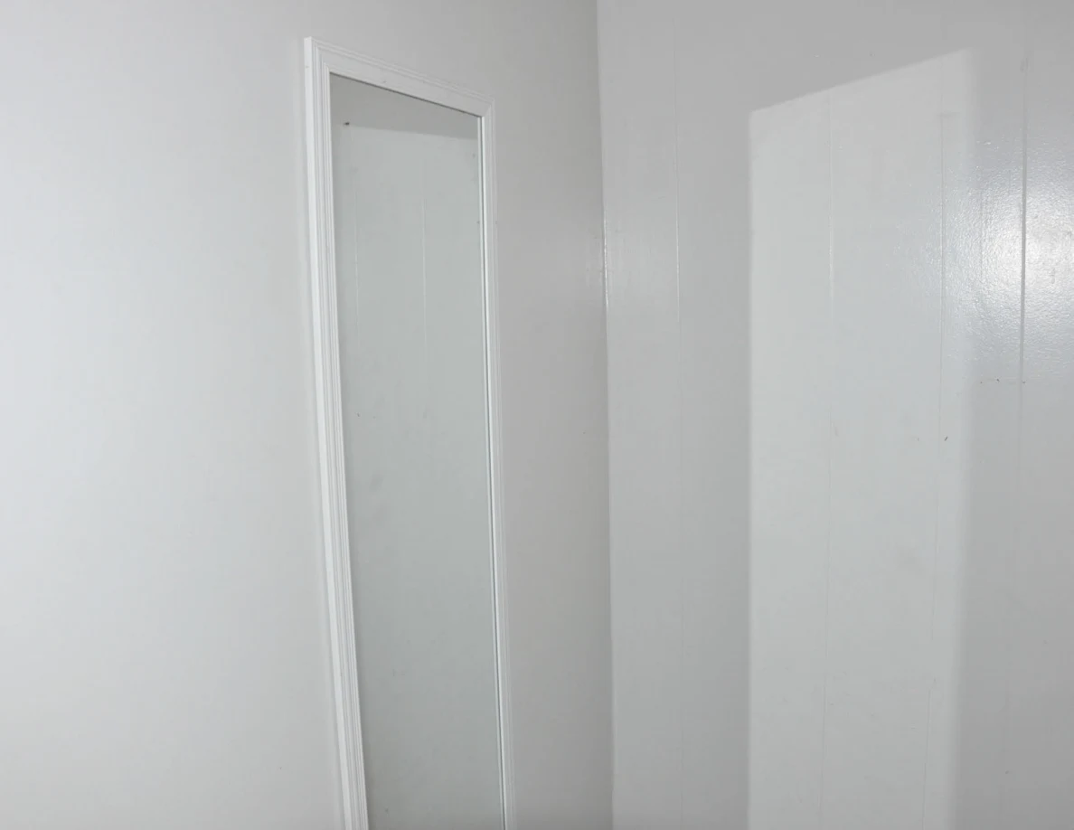 Tall narrow mirror on a plain white entryway wall.