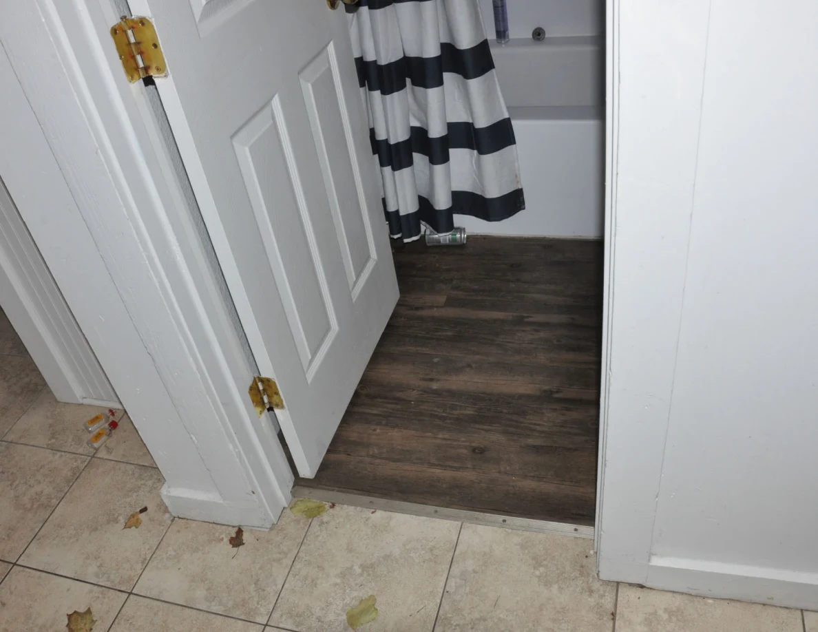 Open bathroom door showing a striped shower curtain, tub edge and dark wood-look flooring.
