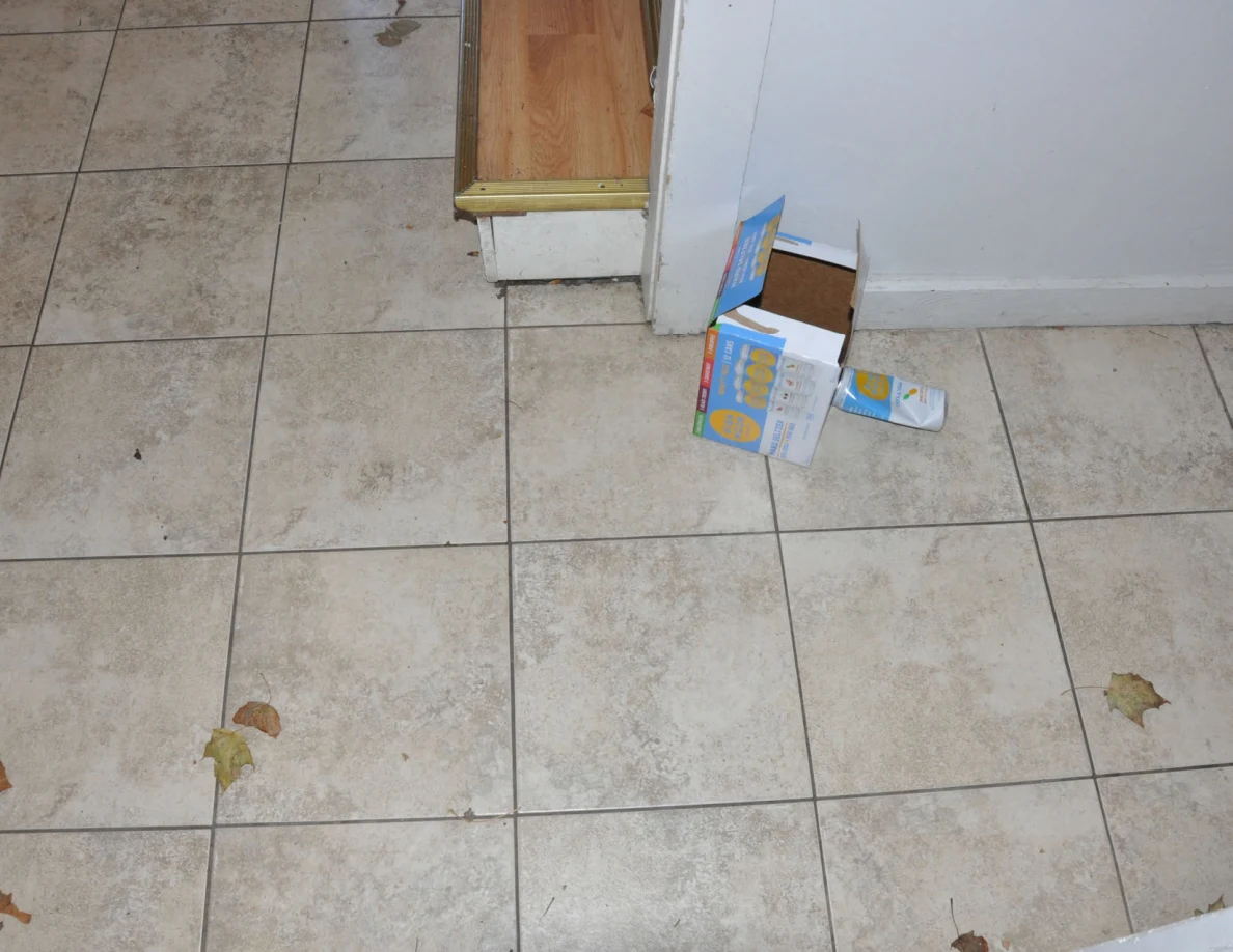 Tiled hallway floor with scattered leaves and an open cardboard drinks carton beside the stairs.
