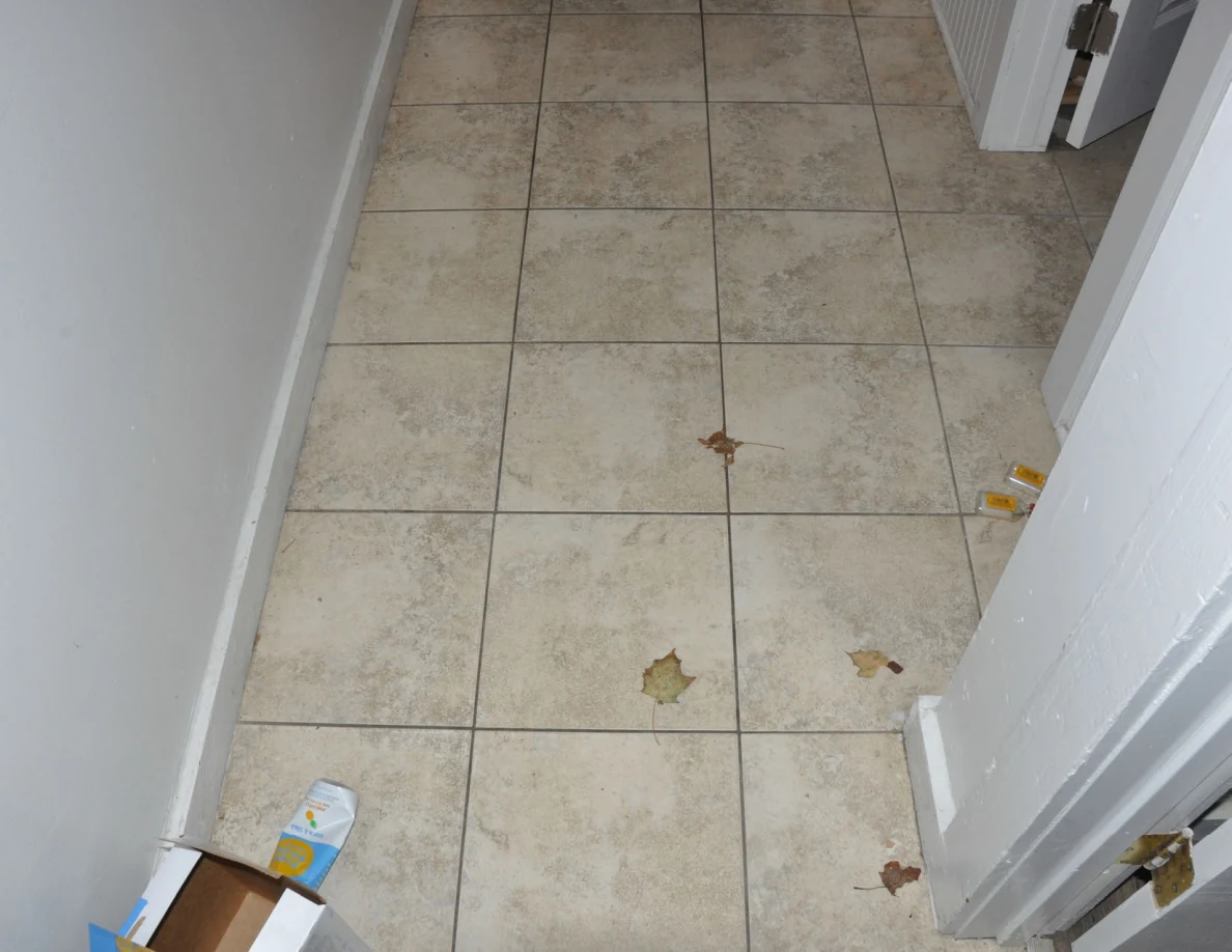 Tiled hallway with leaves, a drinks carton and an open utility-room door.